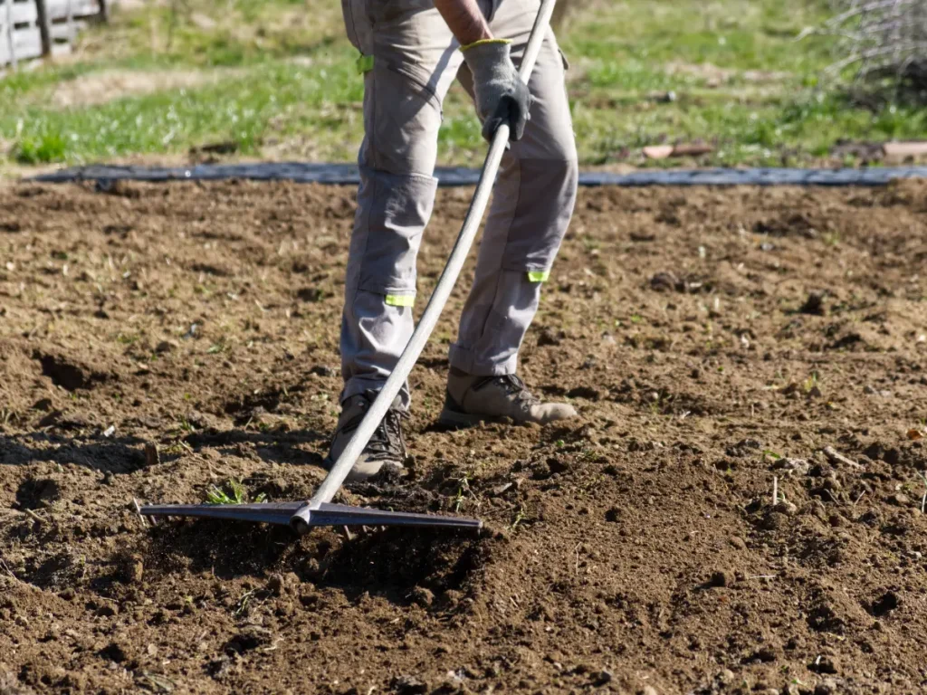 Loosen the soil