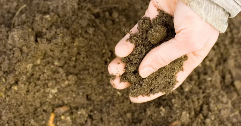 Soil Prep