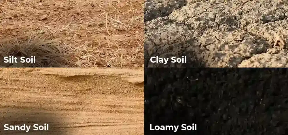 Types of Soil. Sandy Soil, Clay-based Soil, Silty Soil, Loam