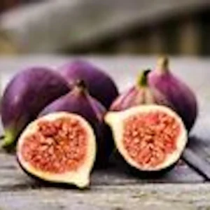 1 Black Mission Fig Tree Starter Plant - Ficus Carica Perennial Live Plant - Image 5