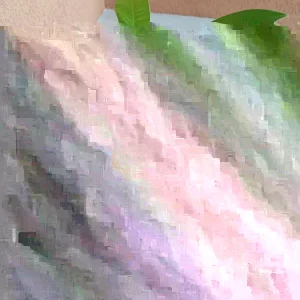 10 Florida Sapote Seeds - Manilkara Zapota Nispero Fruit Seeds - Tropical - Image 3