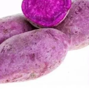 10 Molokai Purple Sweet Potato Slips - Organic Living Plants for Edible Garden - Image 1