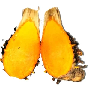 10 Orange Turmeric Mother Rhizomes - Curcuma Longa Live Plant for Growing - Image 3