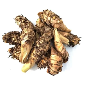 10 Orange Turmeric Mother Rhizomes - Curcuma Longa Live Plant for Growing - Image 1