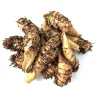 10 Orange Turmeric Mother Rhizomes- Florida Fresh! Curcuma longa from Green Ashes Farm, 100% Organic - Image 1