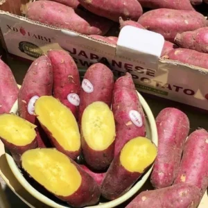 10 Organic Red Japanese Sweet Potato Cuttings - Ready to Plant Slips for Gardening - Image 8