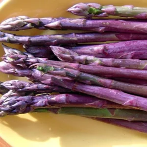 10 Purple Passion Asparagus Bare Roots - Perennial Vegetable Plant - Image 1