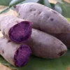 10 Purple Sweet Potato Slips - Live Plant Cuttings for Growing - Image 1