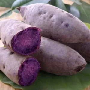 10 Purple Sweet Potato Slips - Live Plant Cuttings for Growing - Image 1
