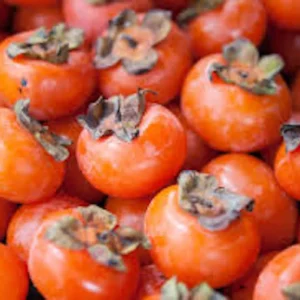 100 American Persimmon Tree Seeds - Diospyros Virginiana Organic Heirloom - Image 3