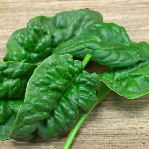 100+ Bloomsdale Long Standing Spinach Seeds - Heirloom Organic Vegetable Seeds for Outdoor Gardening - Image 1