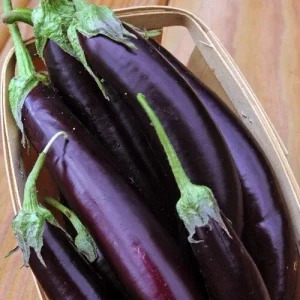 100+ Chinese Long Purple Eggplant Seeds - Aubergine Vegetable Seed - Image 2