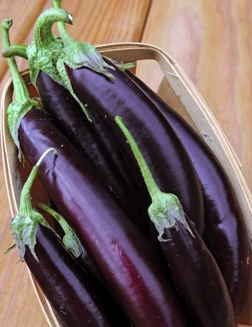 100+ Chinese Long Purple Eggplant Seeds - Aubergine Vegetable Seed - Image 1