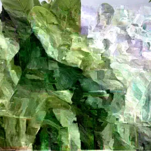 100 Fresh Organic Cashew Leaves - Naturally Grown foliage - Image 3