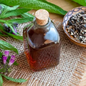 12 Bocking 14 Comfrey Live Plant Roots – Fast-Growing Perennial Herb for Planting - Image 4