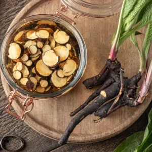 12 Bocking 14 Comfrey Live Plant Roots – Fast-Growing Perennial Herb for Planting - Image 6