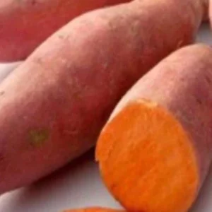 15 Beauregard Sweet Potato Slips - Organically Grown Cuttings - Full Sun Vegetable - Image 2