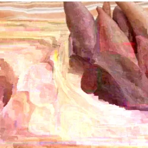 15 Beauregard Sweet Potato Slips - Organically Grown Cuttings - Full Sun Vegetable - Image 5