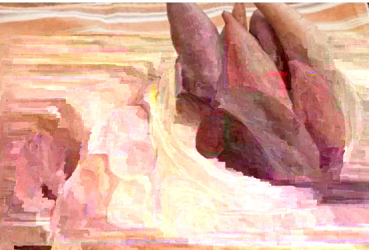 15 Beauregard Sweet Potato Slips - Organically Grown Cuttings - Full Sun Vegetable - Image 5