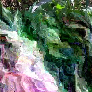 15 Cuban Sweet Potato Slips/Cuttings - Live Edible Plants for Gardening - Image 5