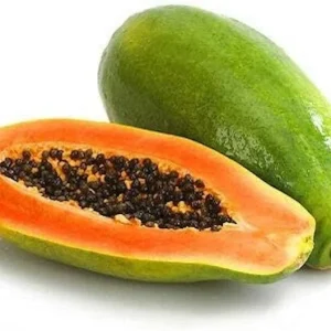 2 Maradol Papaya Live Plants - Sweet Edible Tropical Fruit, Outdoor, USDA Zone 10 - Image 3
