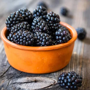 2 Navaho Thornless Blackberry Live Starter Plants - Sweet Fruit, Upright - Image 7