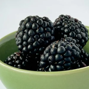 2 Von Thornless Blackberry Live Plants – Sweet Fruit, High Yield – Zones 5-10 - Image 9