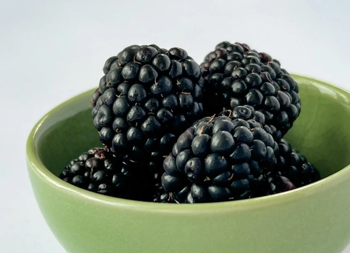 2 Von Thornless Blackberry Live Plants – Sweet Fruit, High Yield – Zones 5-10 - Image 9