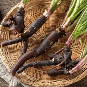 20 Comfrey Bocking 14 Bare Roots 3-6 Inch Perennial Herb Rhizomes Outdoor - Image 3