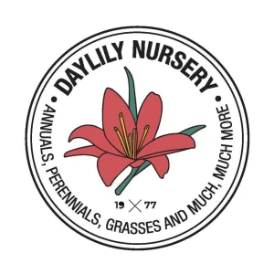 20 Jumbo Crocus Mixture Bulbs - Spring Flowering Bulbs, Hardy USDA 3-8 - Image 6