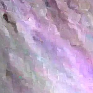 20 Longan Seeds - Sweet Dragon Eye Fruit Seeds for Tropical Climate Gardening - Image 5