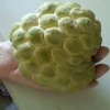 20 Organic Sugar Apple Seeds - Annona Squamosa Tropical Fruit Plant, Edible - Image 1