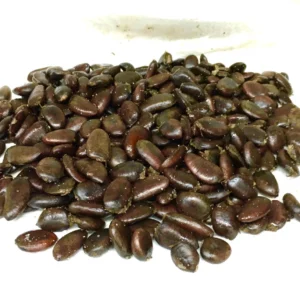 20 Pawpaw Tree Seeds - Organic Heirloom Asimina triloba Native Fruit Seeds, Stratified - Image 6