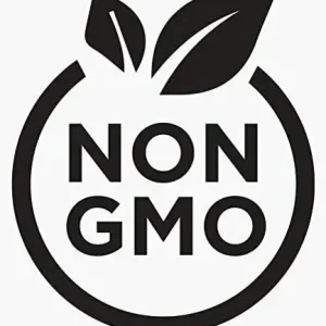 200+ Cilantro Coriander Culantro Ngò Gai Seeds - Non-GMO Herb Seeds for Indoor/Outdoor Planting - Image 3