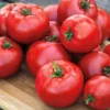 25 Organic Red Beefsteak Tomato Heirloom Seeds for Salad & Canning - Image 1