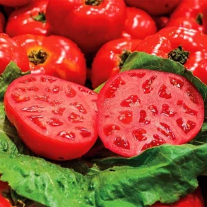 25 Organic Red Beefsteak Tomato Heirloom Seeds for Salad & Canning - Image 5