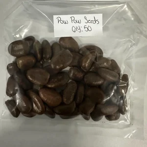 25 Paw Paw Tree Seeds - Asimina triloba Organic Edible Fruit Tree - Image 4