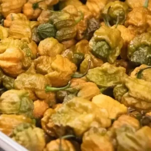 25+ Pepper X Seeds - Extremely Spicy Pepper Seeds for Garden Planting - Image 3