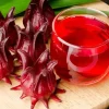 25+ Roselle Seeds - Asian Sour Leaf Red Sorrel Florida Cranberry Jamaican Tea - Image 1