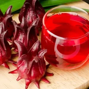 25+ Roselle Seeds - Asian Sour Leaf Red Sorrel Florida Cranberry Jamaican Tea - Image 1