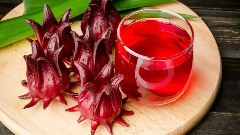 25+ Roselle Seeds - Asian Sour Leaf Red Sorrel Florida Cranberry Jamaican Tea - Image 1