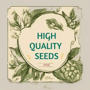 250 Stevia Seeds - Sweetleaf Herb Plant Seeds for Natural Sugar Substitute - Image 7