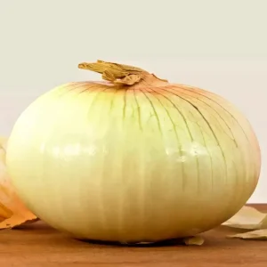 250 Vidalia Sweet Onion Seeds - Non-GMO Heirloom Allium Vegetable Seeds Outdoor - Image 1