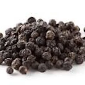 3 Black Pepper Plant Piper Nigrum Live Starter Plants - Perennial Edible - Image 5