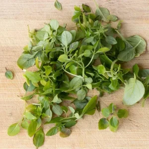 3 Live Greek Basil Plants – 5-8