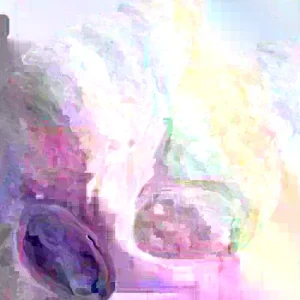 3 Okinawa Purple Sweet Potato Live Plants - Organic Edible Vegetable Slips - Image 3