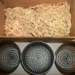 3 Pack 5 Inch Net Pots with New Zealand Sphagnum Moss for Orchids & Carnivorous Plants - Image 1