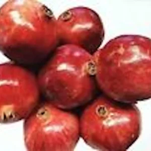 3 Wonderful Pomegranate Fruit Tree Edible Starter Plant Perennial - Punica Granatum Live Plant - Image 4