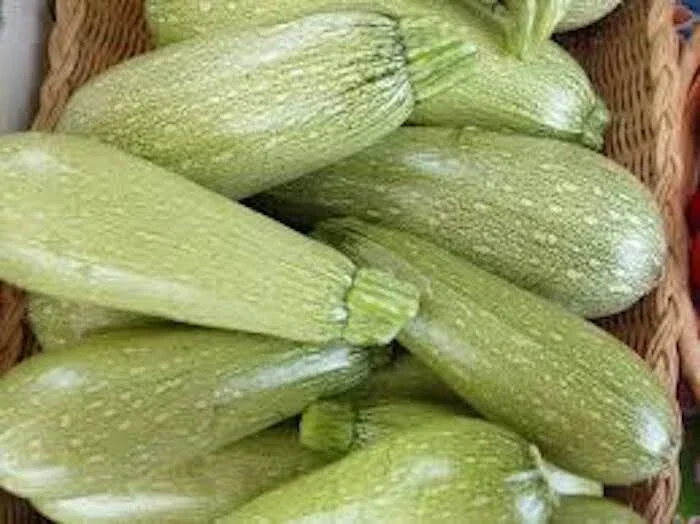 30+ Grey Zucchini Summer Squash Seeds – Organic, Non-GMO – Easy Grow Vegetable - Image 1