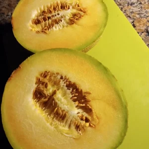 30 Organic Galia Melon Seeds – Rare Fruit Seeds – Non-GMO Outdoor Edible - Image 2